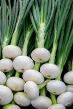 Load image into Gallery viewer, Onion, Sweet White Spanish