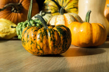 Load image into Gallery viewer, Pumpkin, Mini Mix