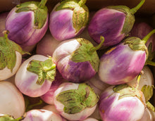 Load image into Gallery viewer, Eggplant, Italian Rosa Bianca - Organic