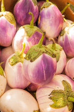 Load image into Gallery viewer, Eggplant, Italian Rosa Bianca - Organic