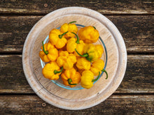 Load image into Gallery viewer, Pepper, Yellow Jamaican Hot