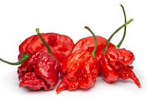 Load image into Gallery viewer, Pepper, Carolina Reaper
