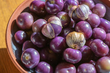 Load image into Gallery viewer, Tomatillo, Purple