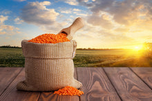 Load image into Gallery viewer, Lentil, Red