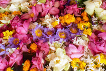 Load image into Gallery viewer, Lotus, Mixed Colors - Organic