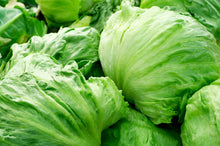 Load image into Gallery viewer, Lettuce, Iceberg