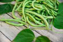 Load image into Gallery viewer, Bean, Green Provider