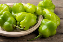 Load image into Gallery viewer, Pepper, Cambuci