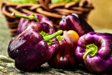 Load image into Gallery viewer, Pepper, Lilac Bell