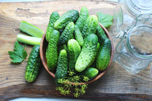 Load image into Gallery viewer, Cucumber, National Pickling