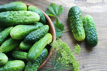 Load image into Gallery viewer, Cucumber, National Pickling