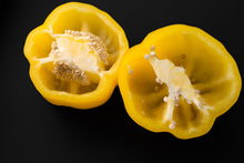 Load image into Gallery viewer, Pepper, Yellow Cheese Pimento