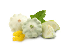 Load image into Gallery viewer, Squash, White Bush Scallop