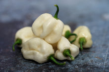 Load image into Gallery viewer, Pepper, Habanero White