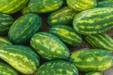 Load image into Gallery viewer, Watermelon, Cal Sweet Supreme