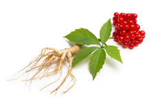 Load image into Gallery viewer, Ginseng,  American