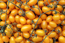Load image into Gallery viewer, Tomato, Yellow Plum