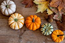 Load image into Gallery viewer, Pumpkin, Mini Mix