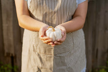 Load image into Gallery viewer, Pumpkin, Baby Boo