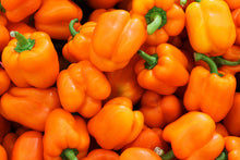 Load image into Gallery viewer, Pepper, Orange Sun Bell