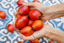 Load image into Gallery viewer, TAMARILLO, Tree Tomato Seeds