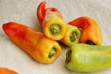 Load image into Gallery viewer, Pepper, Cubanelle