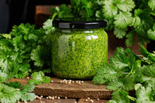 Load image into Gallery viewer, Cilantro, Leisure