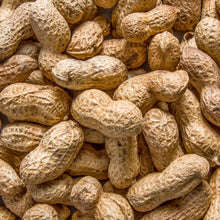 Load image into Gallery viewer, Peanut, Jumbo Virginia