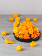 Load image into Gallery viewer, Pepper, Carolina Reaper