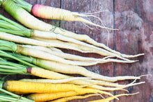 Load image into Gallery viewer, Carrot, Lunar White