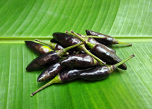 Load image into Gallery viewer, Pepper, Royal Black