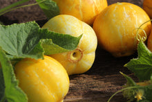 Load image into Gallery viewer, Cucumber, Lemon