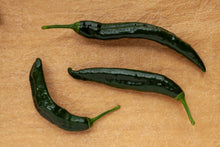 Load image into Gallery viewer, Pepper, Pasilla Bajio