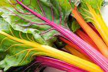 Load image into Gallery viewer, Swiss Chard, Northern Lights
