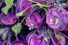 Load image into Gallery viewer, Kohlrabi, Purple Vienna