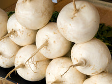 Load image into Gallery viewer, Turnip, Shogoin