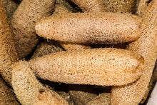 Load image into Gallery viewer, Luffa