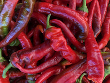 Load image into Gallery viewer, Pepper, Jimmy Nardello
