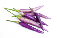 Load image into Gallery viewer, Pepper, Cayenne Purple