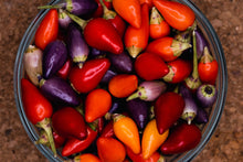 Load image into Gallery viewer, Pepper, Bolivian Rainbow