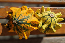 Load image into Gallery viewer, Gourd, Ten Commandments