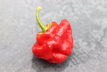 Load image into Gallery viewer, Pepper, Jamaican Hot Red