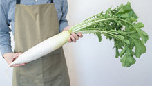 Load image into Gallery viewer, Radish, Japanese Minowase