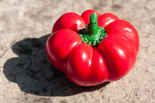 Load image into Gallery viewer, Pepper, Pimento