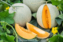Load image into Gallery viewer, Cantaloupe, Iroquois