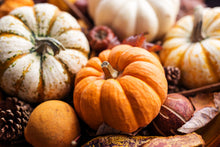Load image into Gallery viewer, Pumpkin, Mini Mix