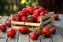 Load image into Gallery viewer, Pepper, Sweet Cherry