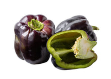 Load image into Gallery viewer, Pepper, Purple Beauty Bell