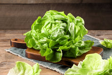 Load image into Gallery viewer, Lettuce, White Boston