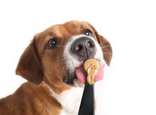 Load image into Gallery viewer, Peanut, Bailey II